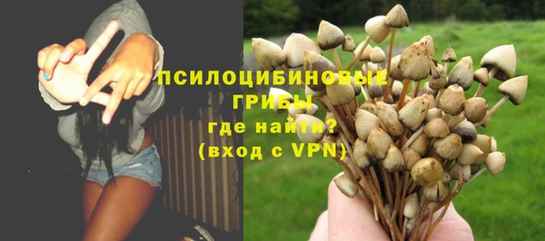 прущие грибы Балахна