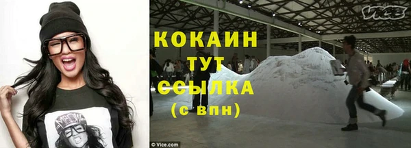 прущие грибы Балахна