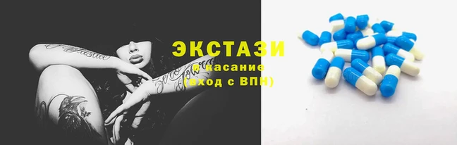 прущие грибы Балахна