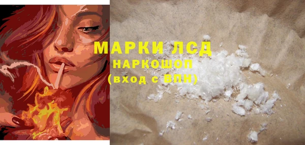 прущие грибы Балахна