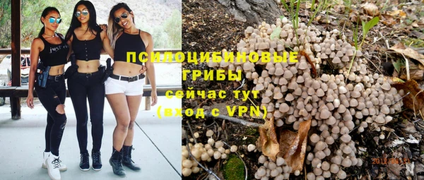 прущие грибы Балахна
