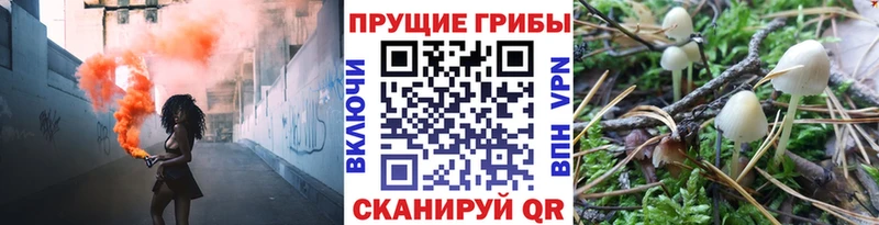 как найти наркотики Озёры Галлюциногенные грибы мицелий