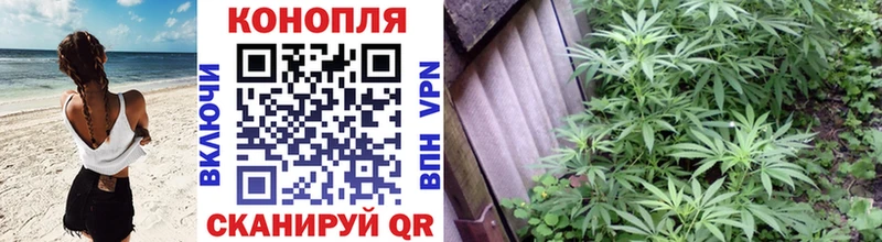 Конопля план Озёры